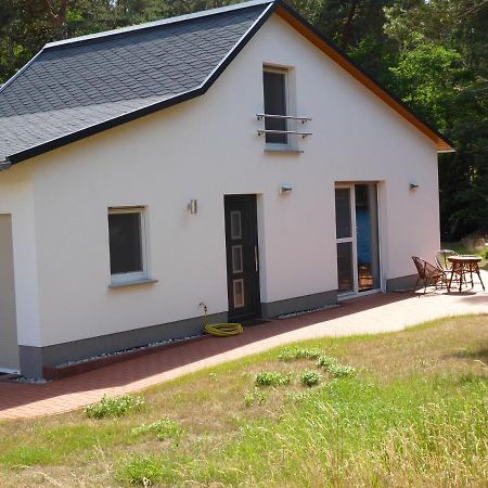 Ferienhaus Am Waldrand - "Libelle" Tornitz Buitenkant foto
